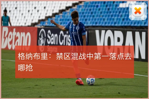 格纳布里:禁区混战中第一落点去哪抢